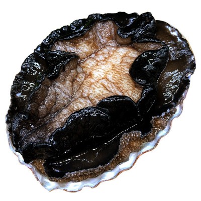 冷冻生冻澳洲鲍鱼澳鲍澳大利亚特大新西兰鲍鱼450g-750g图3