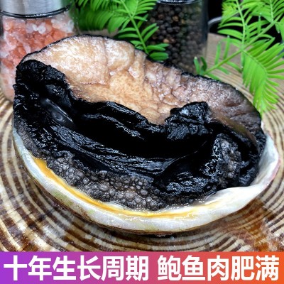 冷冻生冻澳洲鲍鱼澳鲍澳大利亚特大新西兰鲍鱼450g-750g图5