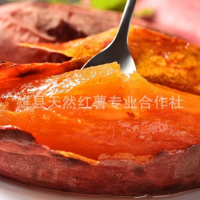 一件代发新鲜红薯烟薯25沙地小密薯 香甜软糯烤红薯 红心流油地瓜