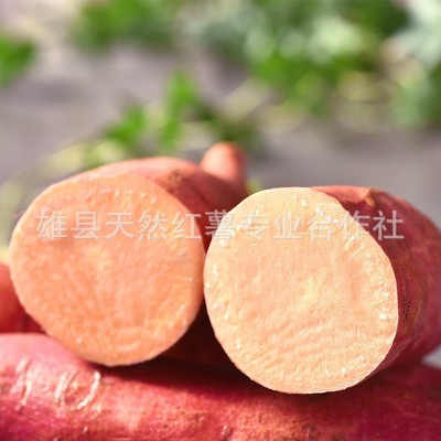一件代发新鲜红薯烟薯25沙地小密薯 香甜软糯烤红薯 红心流油地瓜图3