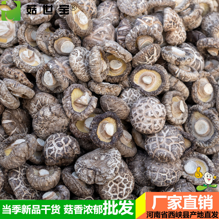 花菇