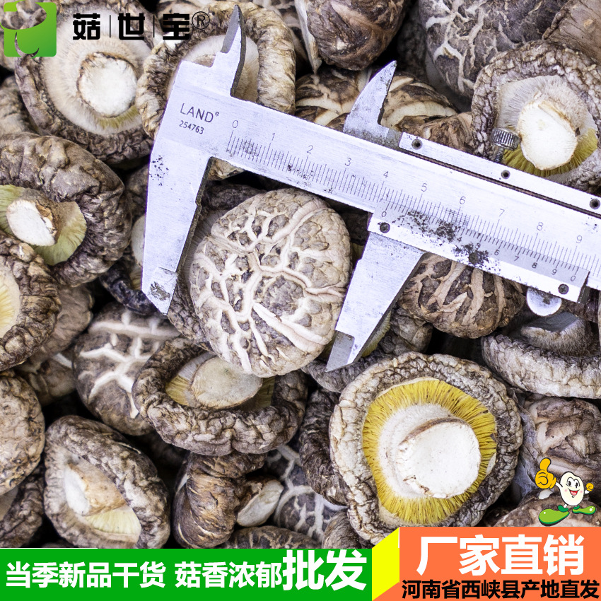 花菇2