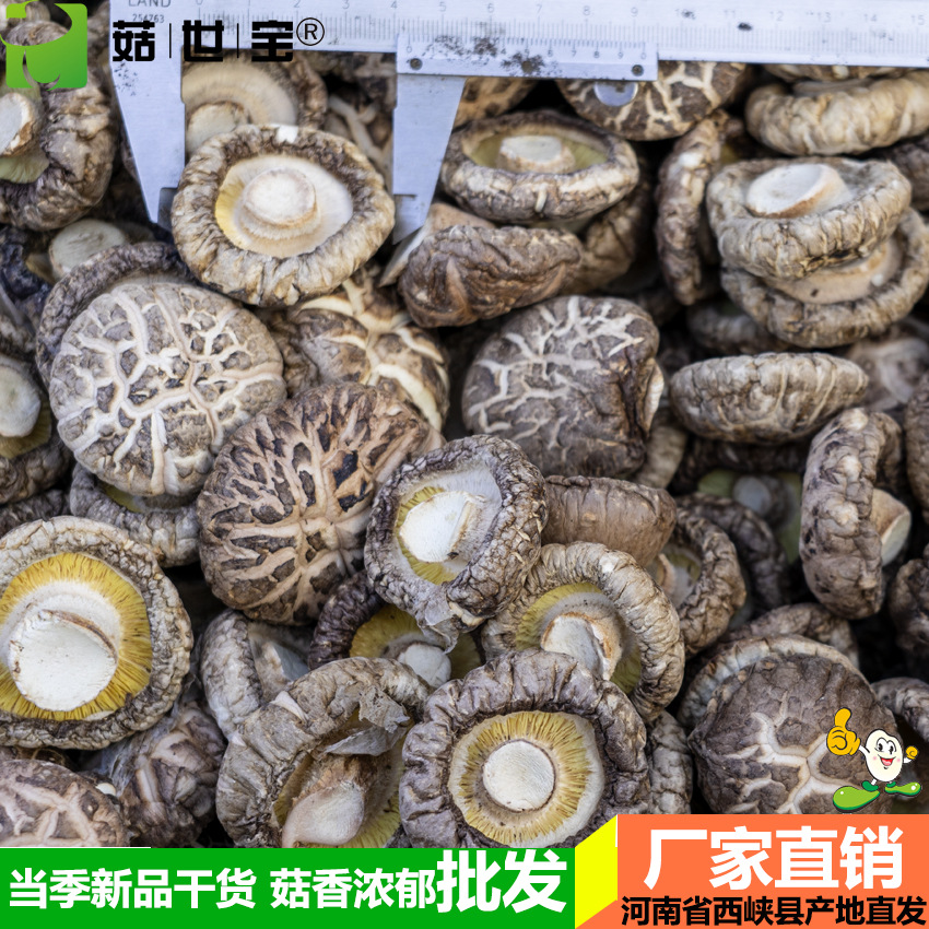 花菇1