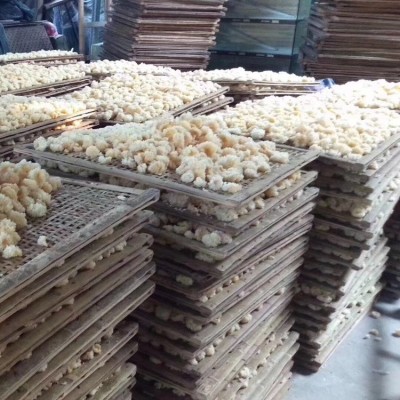 古田小银耳干货批发500g 仿椴木银耳一煮就糯白木耳 厂家直供批发图4
