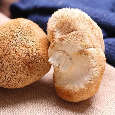 新货古田猴头菇干货散装批发产地发货猴头菇500g食用菌批发图3