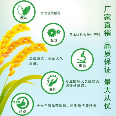 爱菊长粒香米 10kg 东北大米批发 厂家直发 员工福利供图3