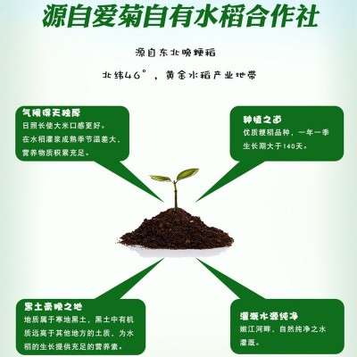 爱菊珍珠米25kg 东北大米 圆粒50斤 餐饮专用厂家直发 量大从优图4