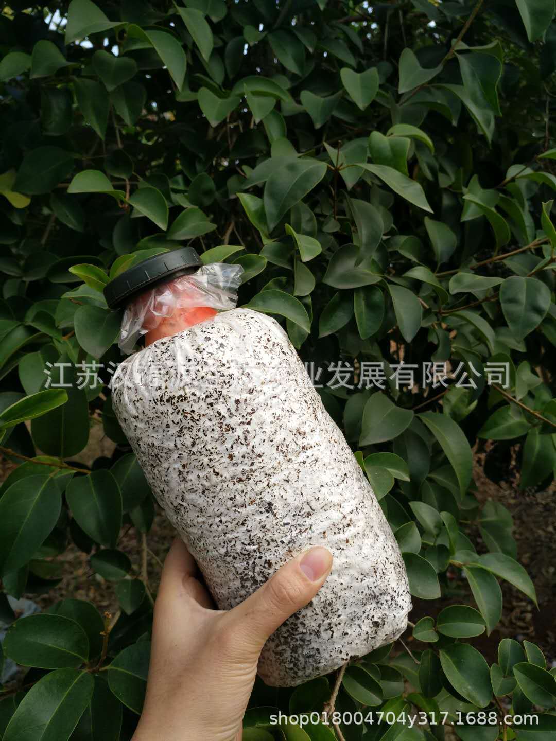微信图片_20191203100103.jpg