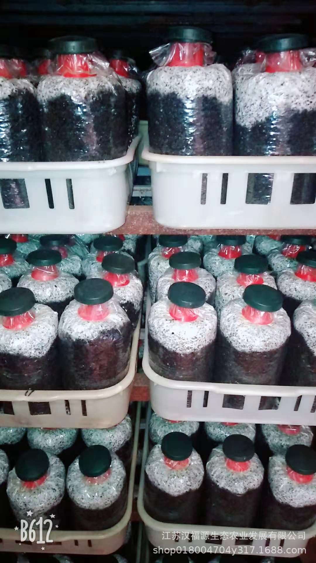 微信图片_20190622091324.jpg
