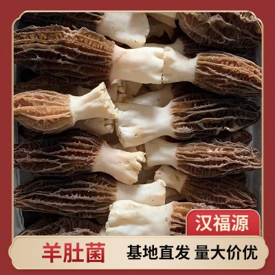 批发干货鲜羊肚菌滋补酒店食材干货散装山货煲汤羊肚菌干货羊肚菌