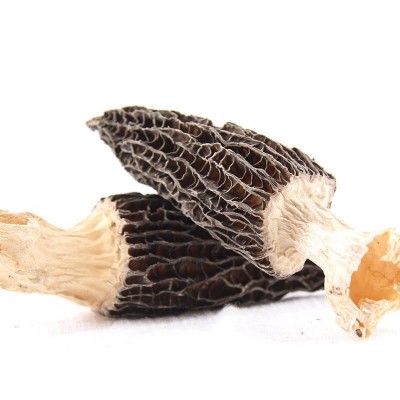 云南特产羊肚菌干货菌菇蘑菇烘干批发野山菌一件代发品质好货图2
