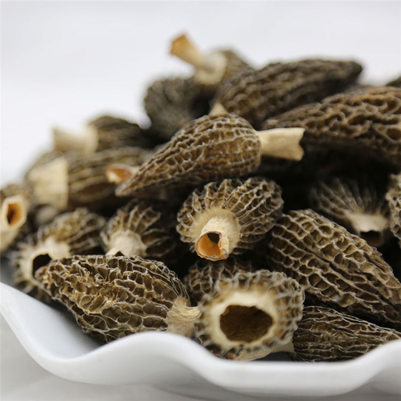 干羊肚菌