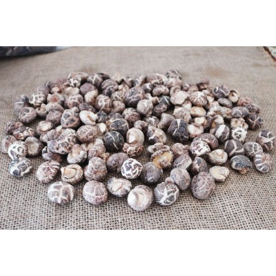 珍珠花菇茶花菇 冬菇干货 批发湖北随州产地直供 一件代发 可定图2