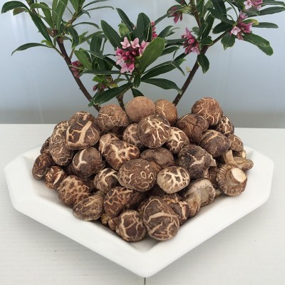 珍珠花菇茶花菇 冬菇干货 批发湖北随州产地直供 一件代发 可定图3