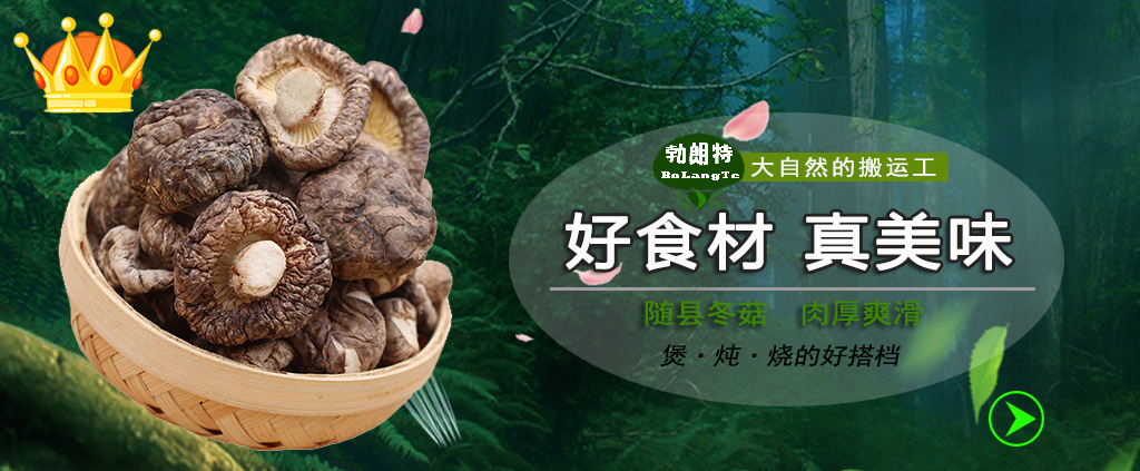 秋冬菇关联图