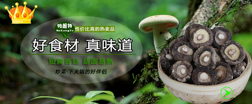 春菇关联