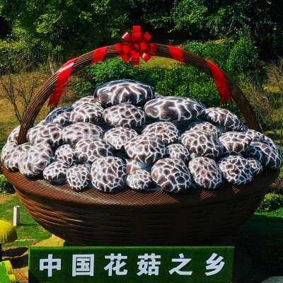 湖北肉厚大冬菇花菇 食用菌农产品土产干货天茶花菇批发