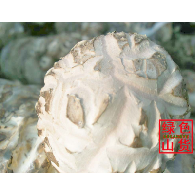湖北肉厚大冬菇花菇 食用菌农产品土产干货天茶花菇批发图5