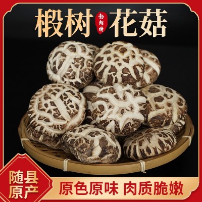 随县产地批发椴木花菇干货 肉厚茶农食产品家用蘑菇剪脚干花菇
