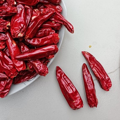 子弹头小辣椒 新一代天鹰小椒 使用餐饮炒菜干锅辣椒 香辣适中图2