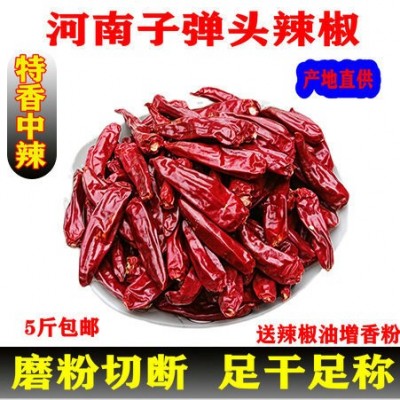 子弹头小辣椒 新一代天鹰小椒 使用餐饮炒菜干锅辣椒 香辣适中