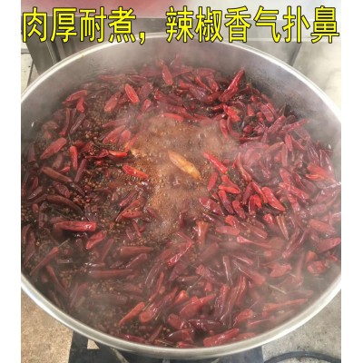 福建辣椒王香辣皮厚耐煮- 鸭脖卤制品龙虾专用辣椒王-古田辣椒王图3