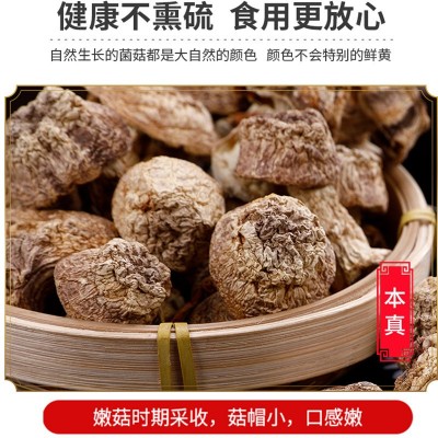 厂家现货干姬松茸 巴西蘑菇食用菌菇产地批发 云南特产巴西菇图2