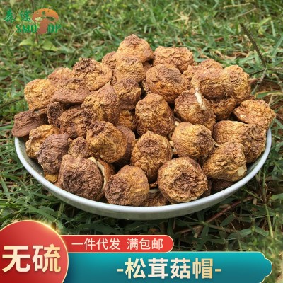 云南特产 人工姬松茸菇帽干货 巴西菇菇冒 批发松茸菌帽
