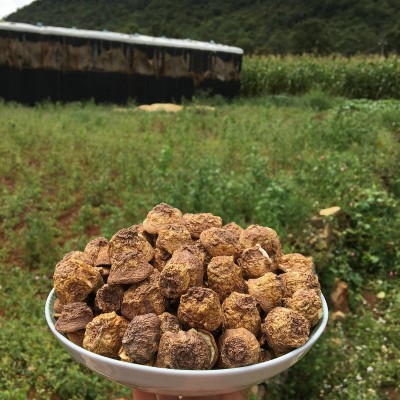 云南特产 人工姬松茸菇帽干货 巴西菇菇冒 批发松茸菌帽图4