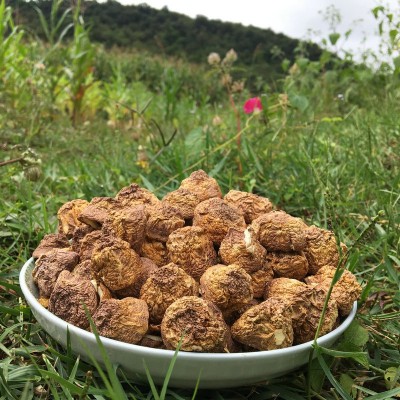 云南特产 人工姬松茸菇帽干货 巴西菇菇冒 批发松茸菌帽图3