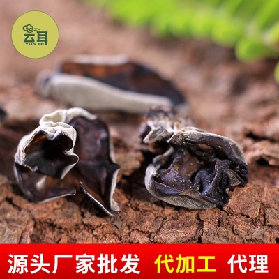 云耳牌云南野生黑木耳180g盒装特产南北干货特产批发源头厂家直供图2