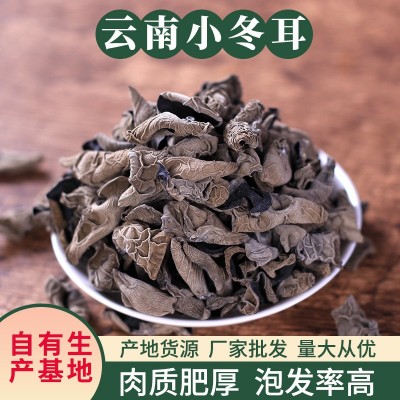 云耳牌云南小冬耳南北干货椴木黑木耳无根肉厚批发源头厂家直供