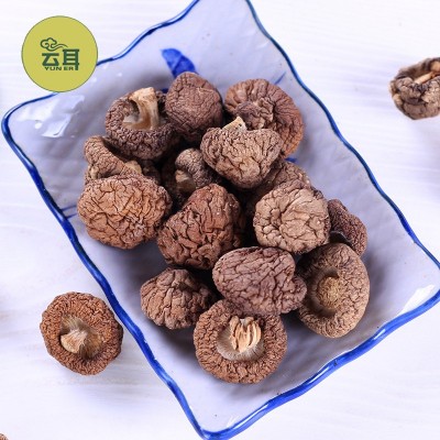 云耳牌云南珍珠菇南北干货云南特产小香菇小花菇批发源头厂家直供图2