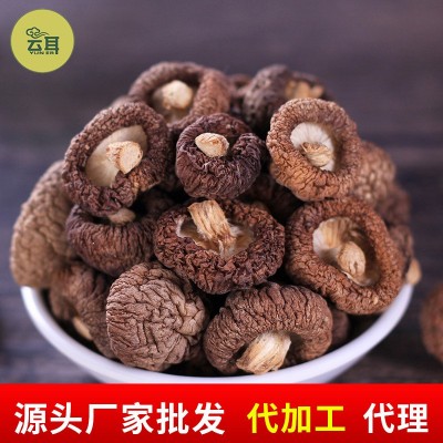 云耳牌云南珍珠菇南北干货云南特产小香菇小花菇批发源头厂家直供图3