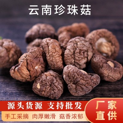 云耳牌云南珍珠菇南北干货云南特产小香菇小花菇批发源头厂家直供
