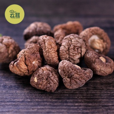 云耳牌云南珍珠菇南北干货云南特产小香菇小花菇批发源头厂家直供图4