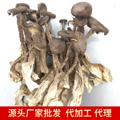 云耳牌云南鹿茸菇100g南北干货批发源头厂家直供团购图2