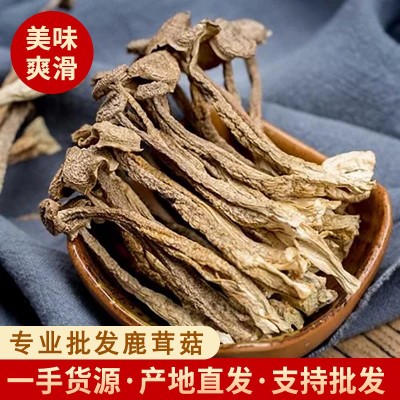 云耳牌云南鹿茸菇100g南北干货批发源头厂家直供团购