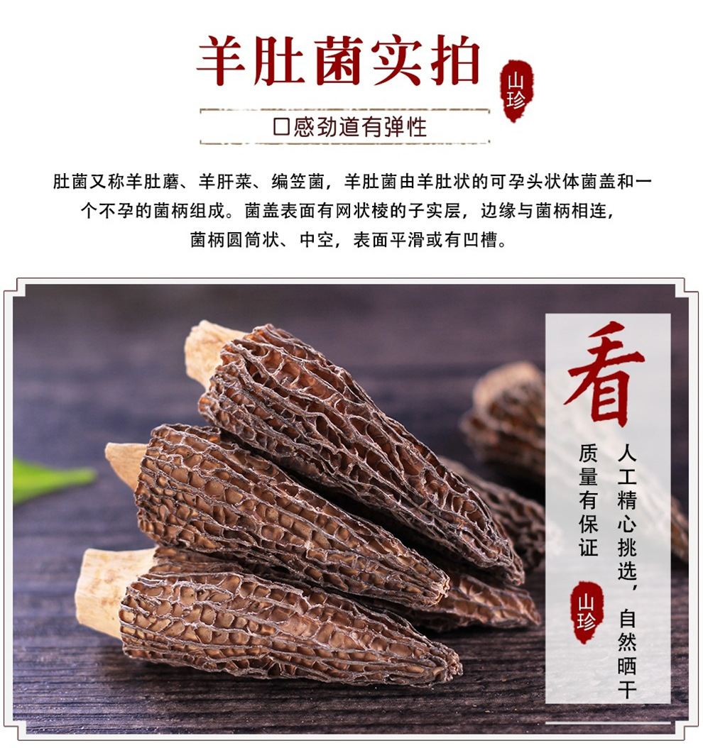 羊肚菌_05