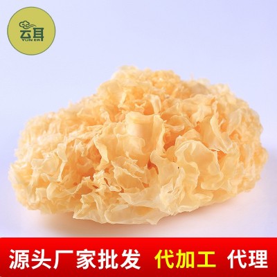 云耳牌银耳白木耳雪耳南北干货糯耳银耳莲子羹 批发 源头厂家直供图2