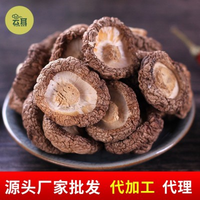云耳牌云南香菇菌菇山珍南北干货食用菌金钱菇批发源头厂家直供图2