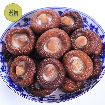 云耳牌云南香菇菌菇山珍南北干货食用菌金钱菇批发源头厂家直供图4