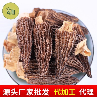 云耳牌云南羊肚菌特产南北干货野生菌菇罐装50g批发源头厂家直供图2