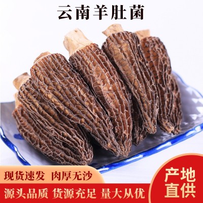 云耳牌云南羊肚菌特产南北干货野生菌菇罐装50g批发源头厂家直供