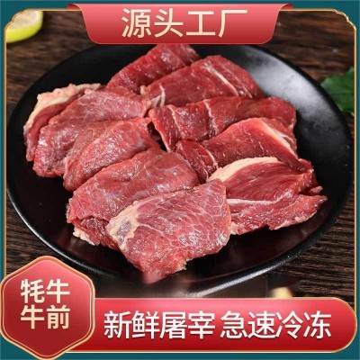 海拔3000四川阿坝牦牛牛前生鲜火锅食材新鲜牦牛肉现货批发顺丰