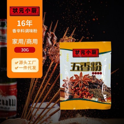 五香粉 烧烤调料撒料羊肉串香辣烤鱼烤肉蘸料香料 家用商用礼品