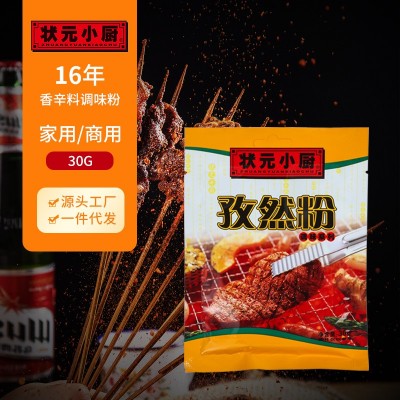 孜然粉 烧烤调料撒料羊肉串香辣烤鱼烤肉蘸料香料 家用商用礼品