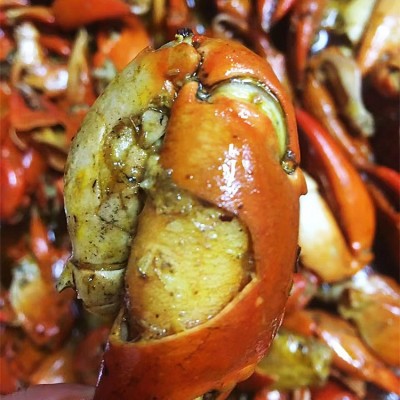 【长期供应】冷冻螃蟹腿 冰冻蟹钳肉质饱满昆明发货酒店专业配送