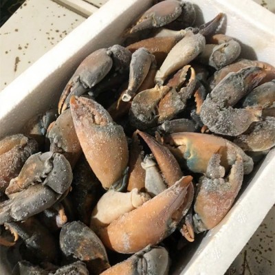 【长期供应】冷冻螃蟹腿 冰冻蟹钳肉质饱满昆明发货酒店专业配送图3