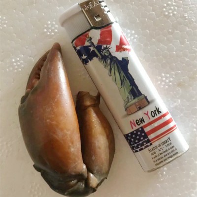 【长期供应】冷冻螃蟹腿 冰冻蟹钳肉质饱满昆明发货酒店专业配送图5